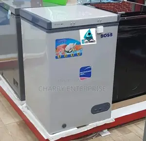 BOSS Freezer (POWERFUL)  100L
