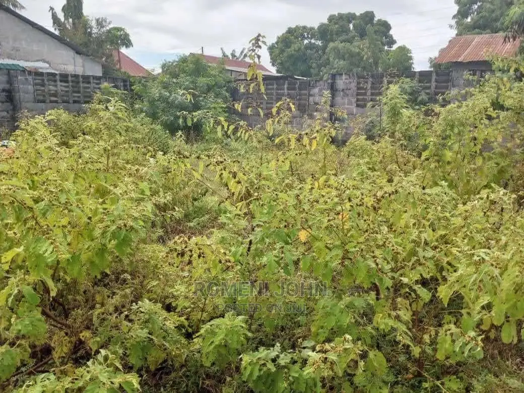 Eneo La Kibiashara Na Makazi Linauzwa Milioni 125 Tabata.