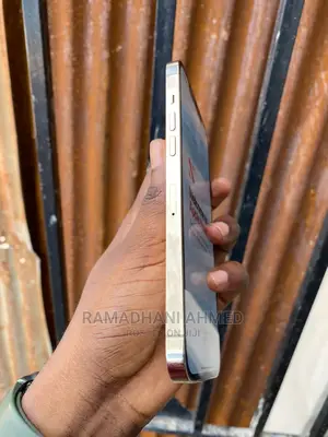 Apple iPhone 12 Pro Max 256 GB Gold