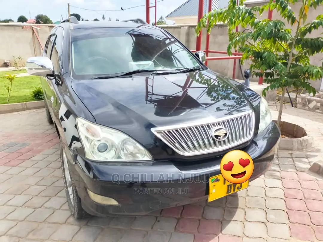 Toyota Harrier 2004 Black
