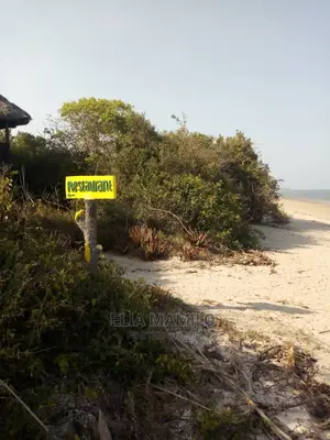 14 Acres of Beach Plot for Sale in Tanga, Near Saadani Park