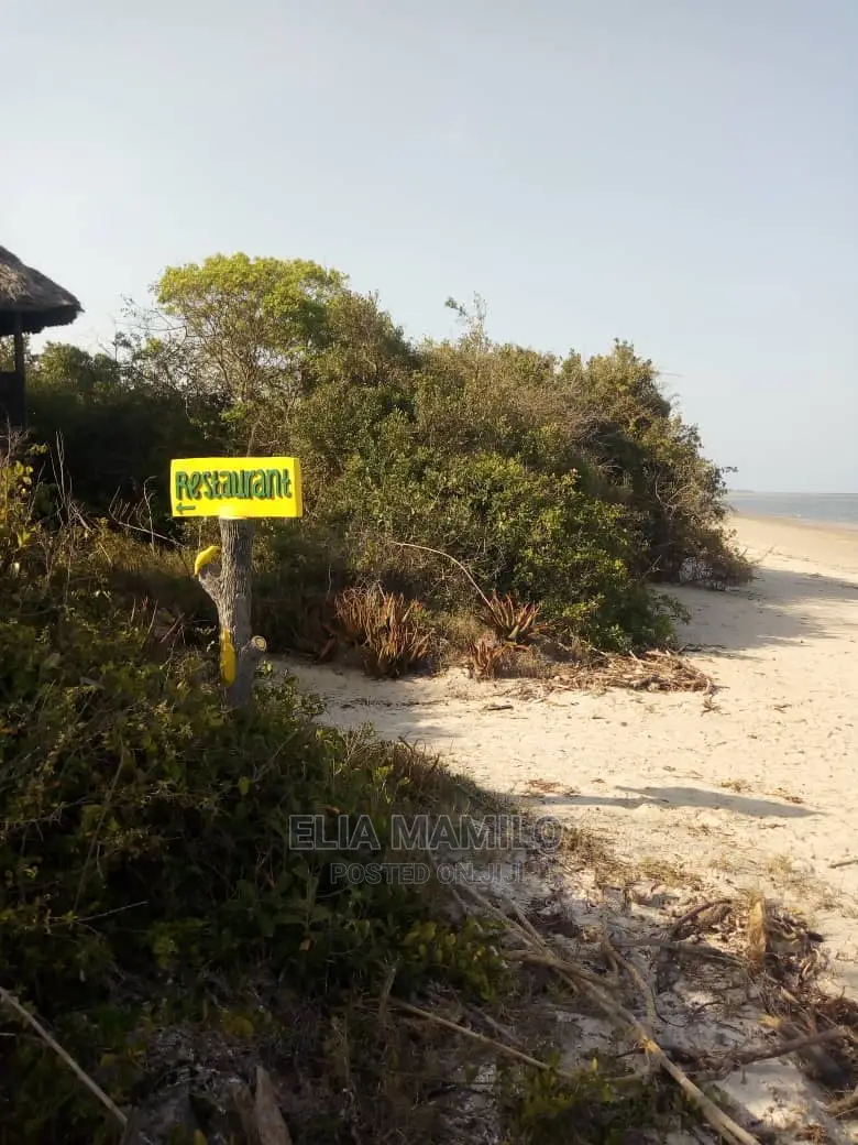 14 Acres of Beach Plot for Sale in Tanga, Near Saadani Park