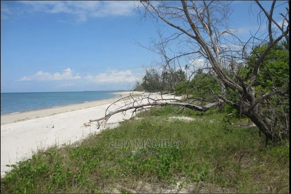 14 Acres of Beach Plot for Sale in Tanga, Near Saadani Park