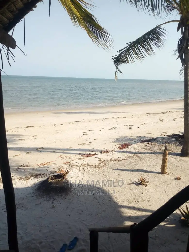 14 Acres of Beach Plot for Sale in Tanga, Near Saadani Park