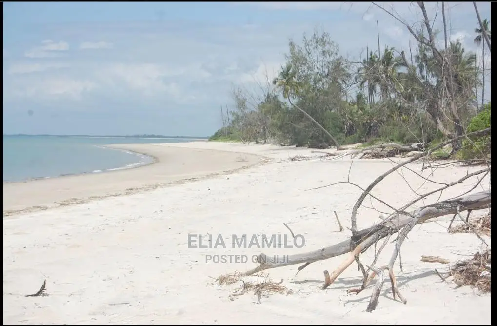 14 Acres of Beach Plot for Sale in Tanga, Near Saadani Park