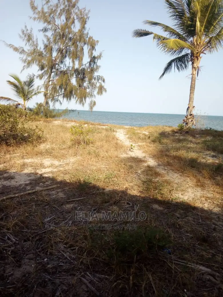 14 Acres of Beach Plot for Sale in Tanga, Near Saadani Park