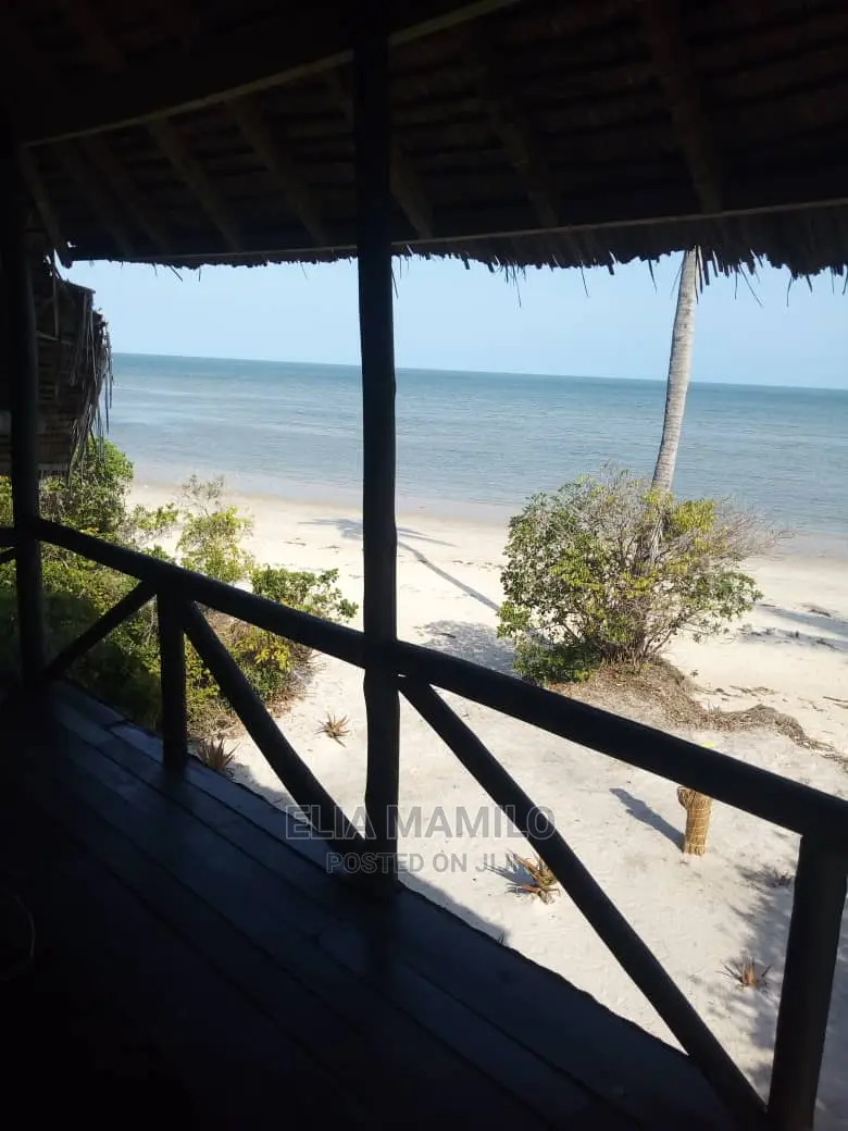 14 Acres of Beach Plot for Sale in Tanga, Near Saadani Park