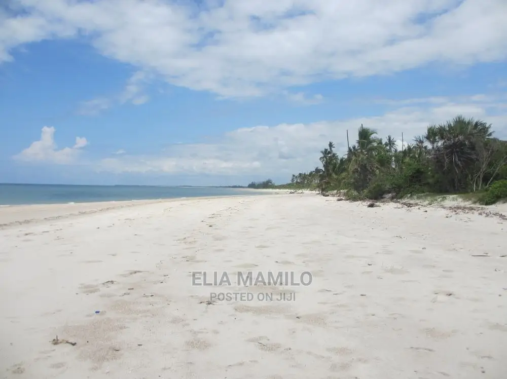 14 Acres of Beach Plot for Sale in Tanga, Near Saadani Park