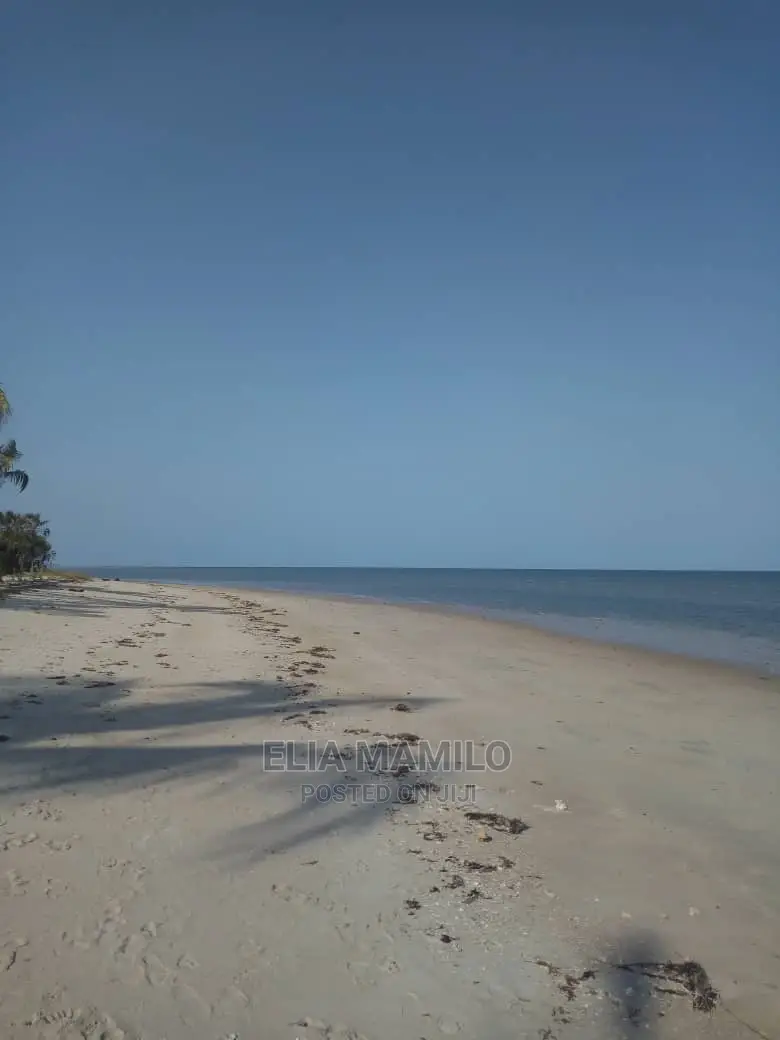 14 Acres of Beach Plot for Sale in Tanga, Near Saadani Park