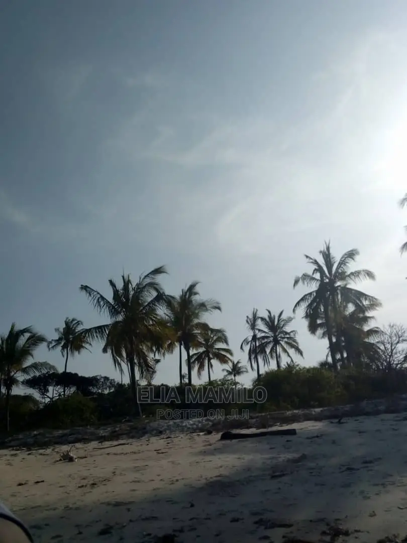 14 Acres of Beach Plot for Sale in Tanga, Near Saadani Park