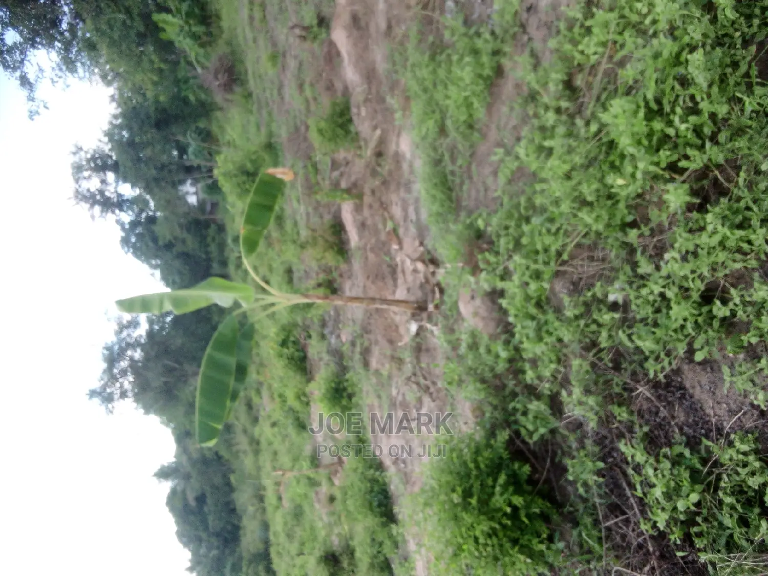 Plot for Sale at Msongola Mlandizi