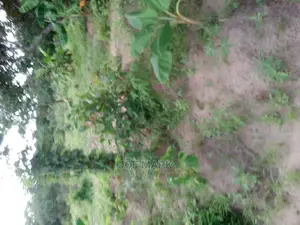 Plot for Sale at Msongola Mlandizi