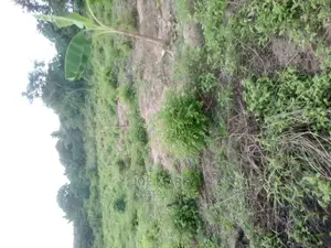 Plot for Sale at Msongola Mlandizi