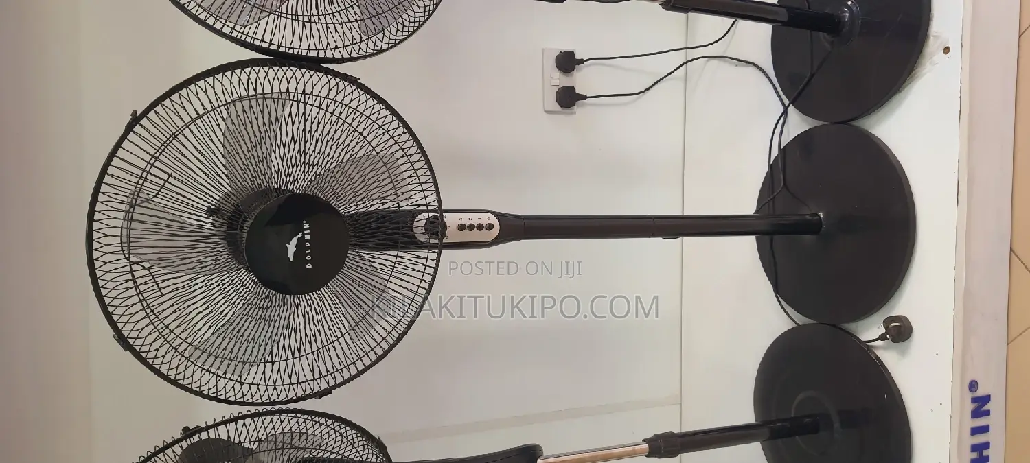 Dolphin New 2023 Standing Fan
