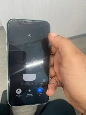 Apple iPhone 11 64 GB Green