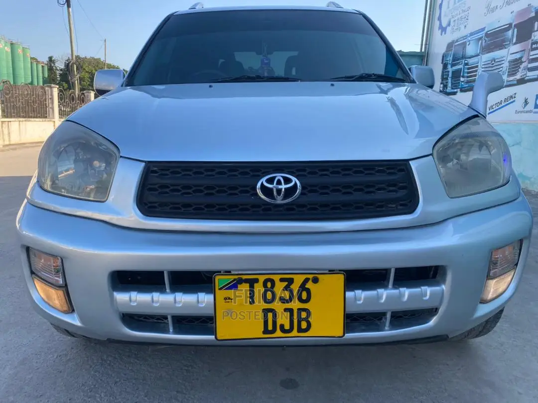 Toyota RAV4 2004 Silver