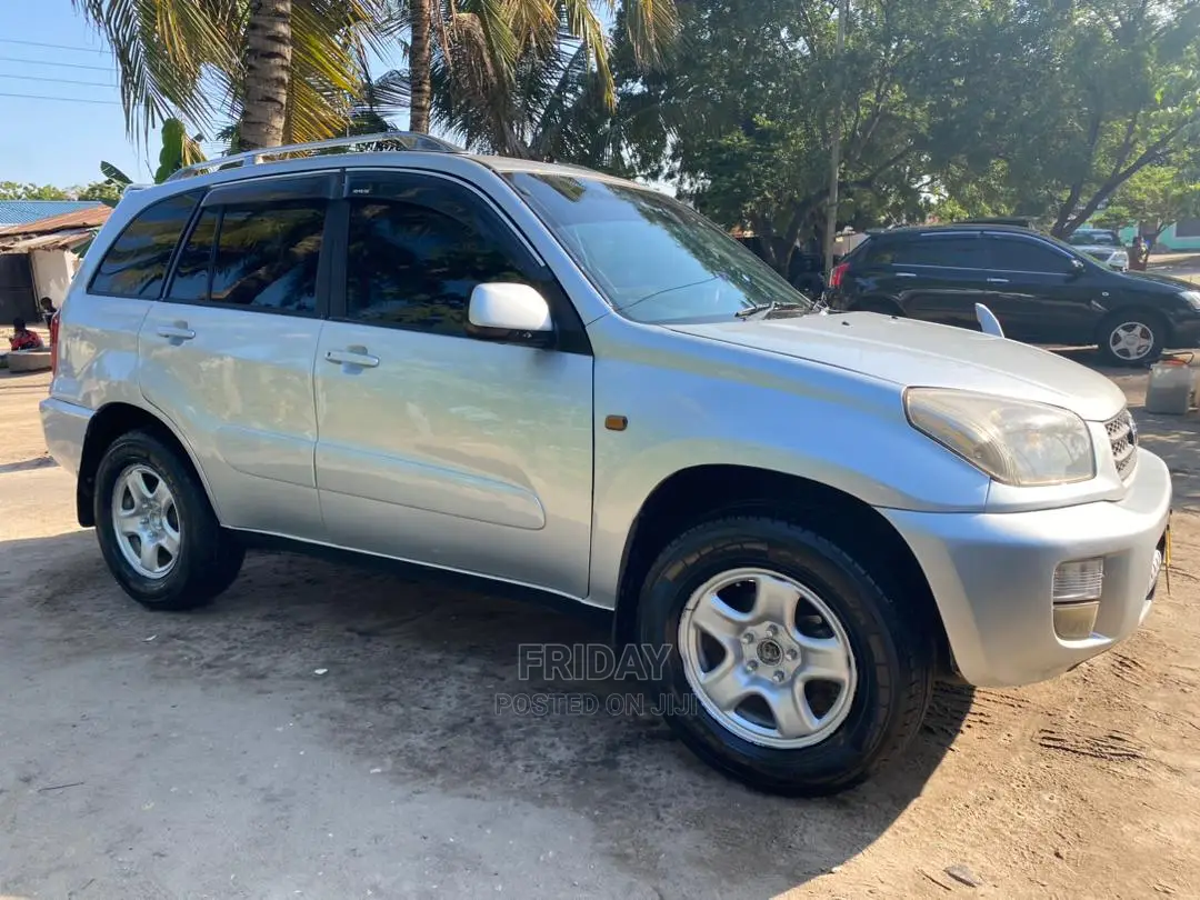 Toyota RAV4 2004 Silver