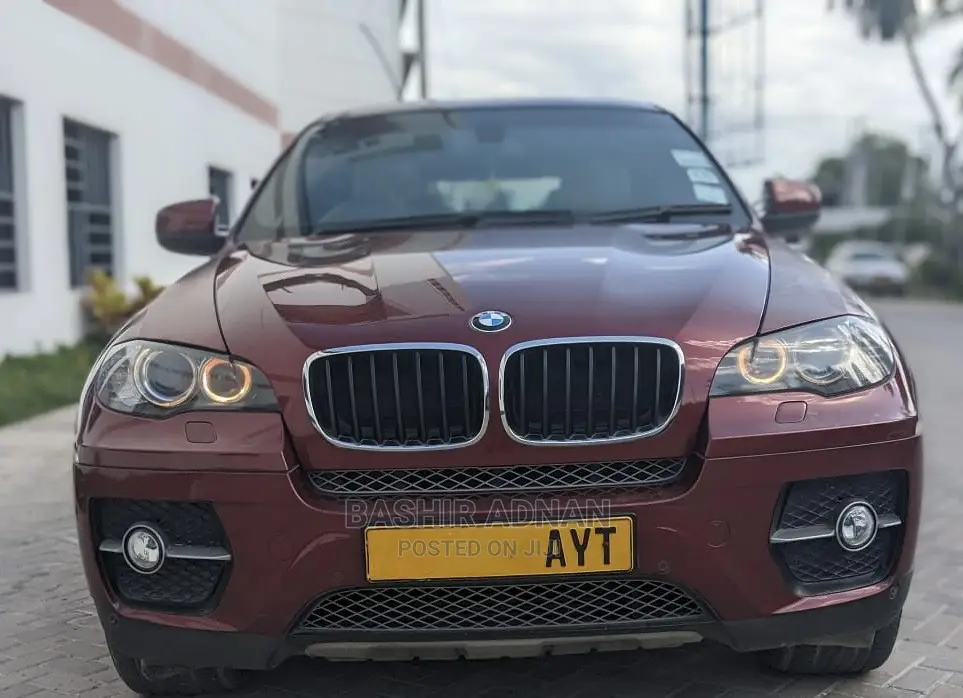 BMW X6 Sports Activity Coupe 2008 Burgundy