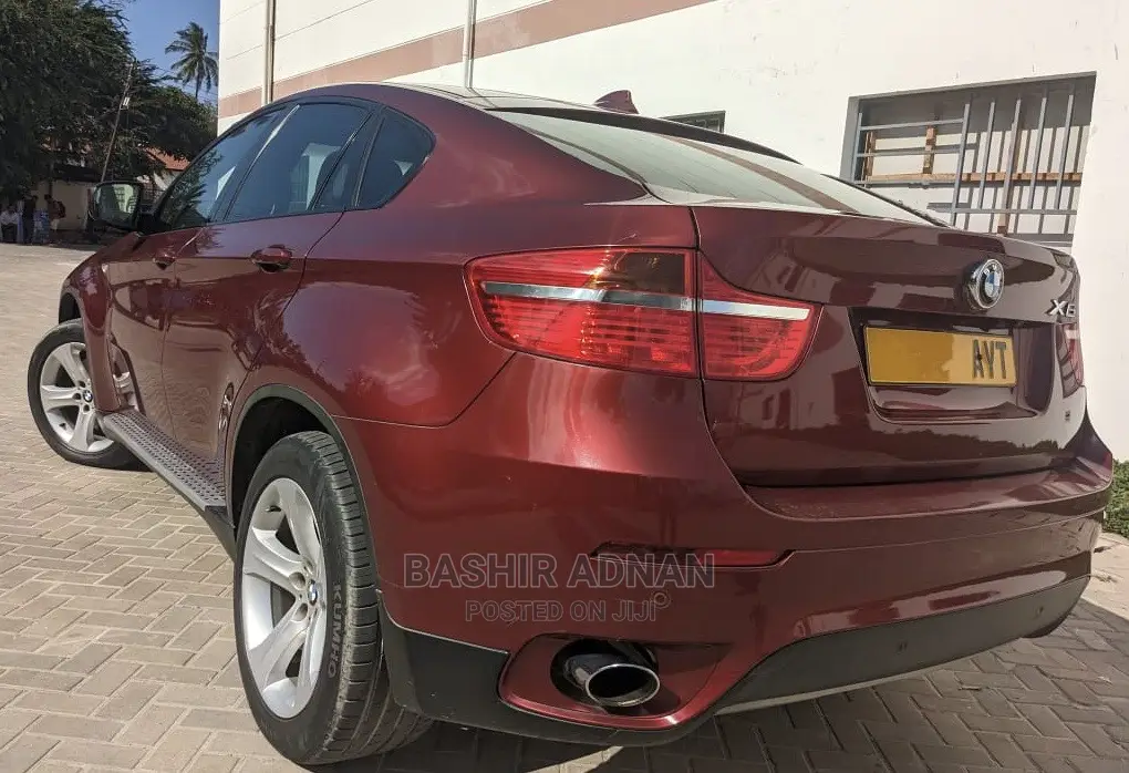 BMW X6 Sports Activity Coupe 2008 Burgundy