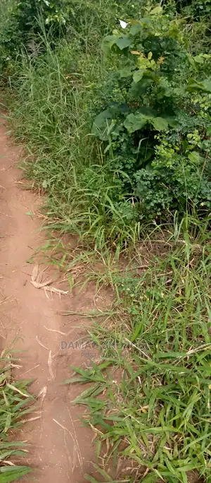 Shamba Kubwa Linauzwa