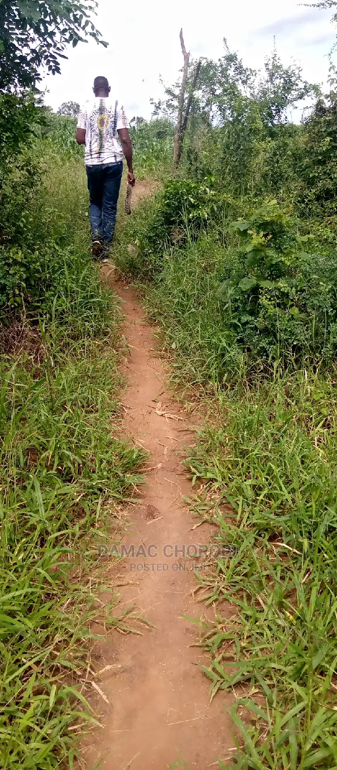 Shamba Kubwa Linauzwa