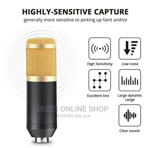 BM800 Condenser Microphone