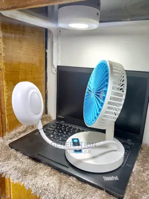 Fan Plus Light