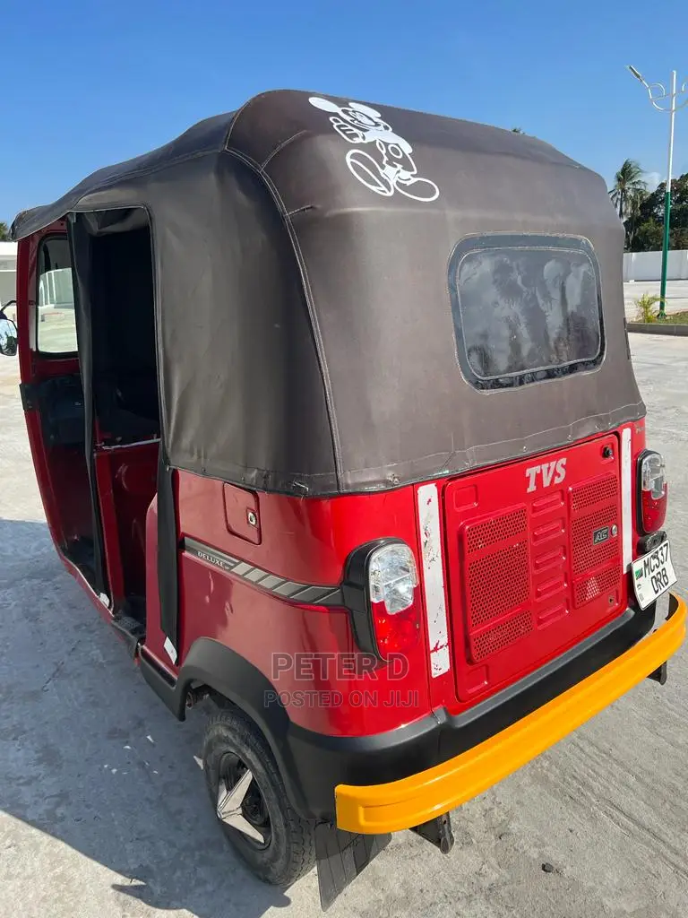TVS 2023 Pink