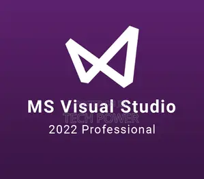 Visual Studio Professional 2022 1 User Key Lifetime