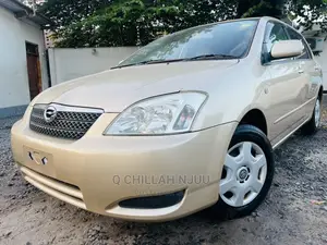 Toyota Allex 2003 Gold
