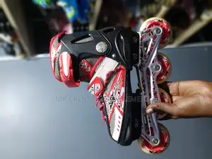 Luntu Dragon Roller Skates ( Viatu Vya Matairi )