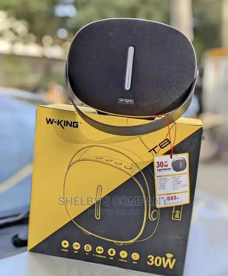 T8 Speakers (W-King)