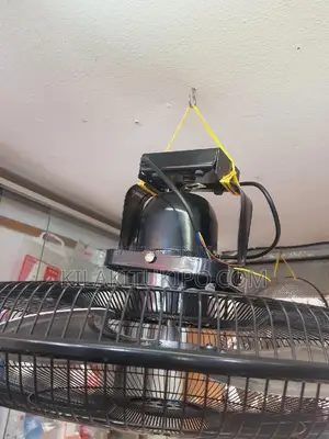 Dolphin Orbit Fan Tyson 20 Blade Size