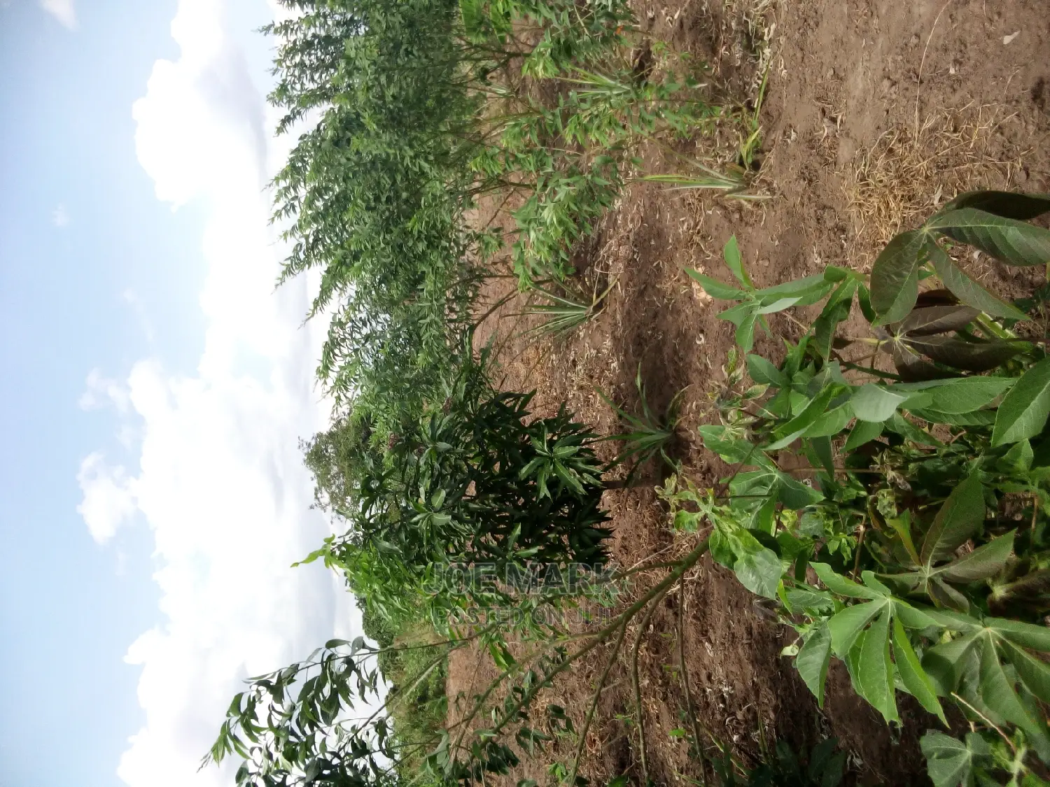 Eneo Linauzwa Kibaha.