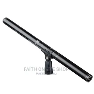 Boom Microphone