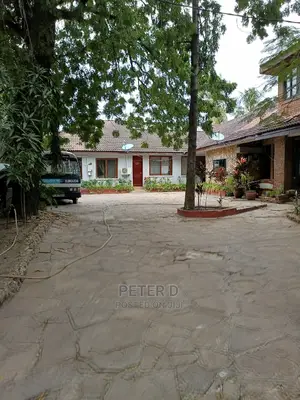 1bdrm Apartment in Mikocheni for rent