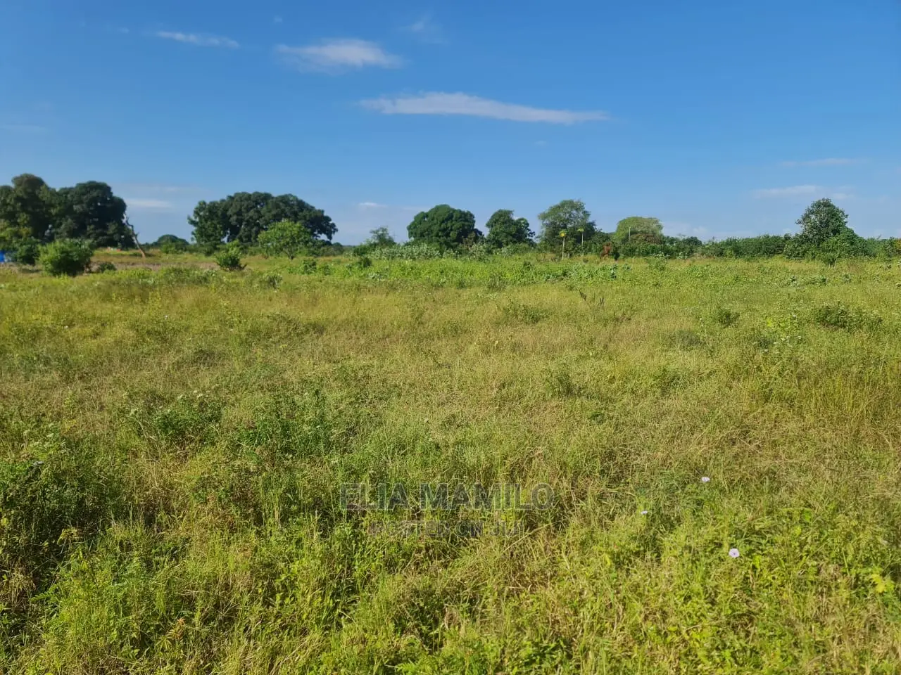 Eneo LA Linauzwa, Linagusa Lami, Bagamoyo Mizani.