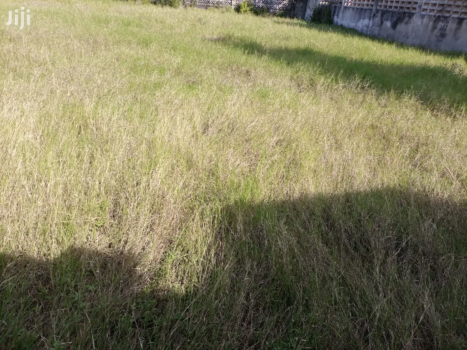 Kiwanja Kipo Ndani Ya Fence Na Geti Lake Eneo La Mikocheni B