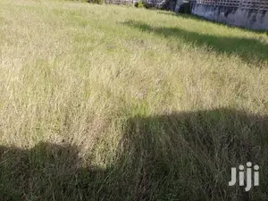 Kiwanja Kipo Ndani Ya Fence Na Geti Lake Eneo La Mikocheni B