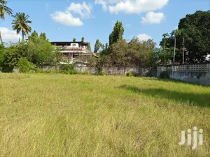 Kiwanja Kipo Ndani Ya Fence Na Geti Lake Eneo La Mikocheni B