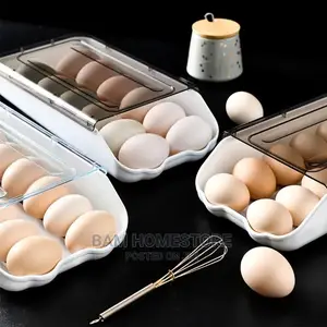 Eggs Organizer Tray
