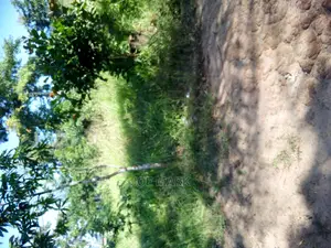 8 Acres for Sale at Kibaha