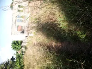 8 Acres for Sale at Kibaha
