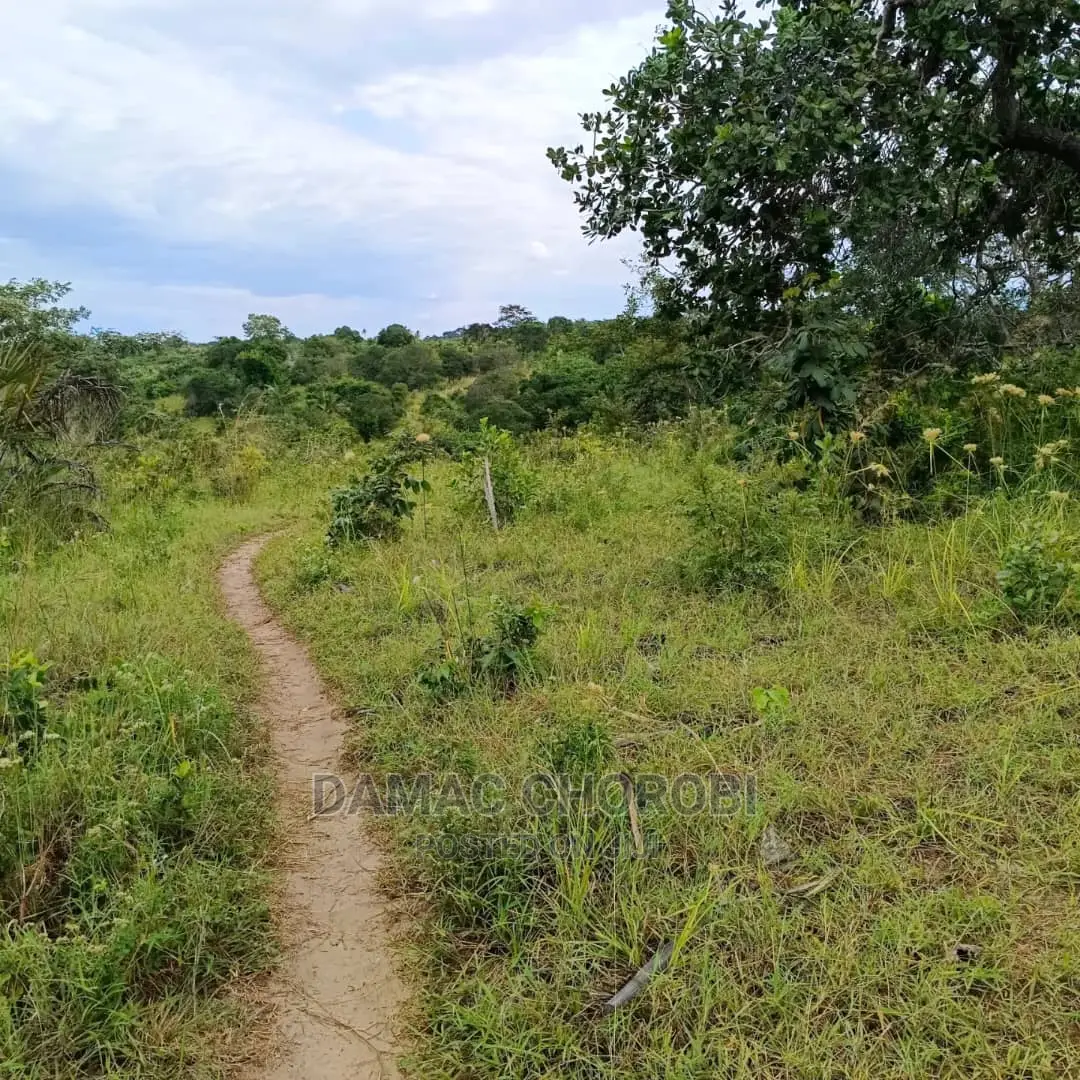 Shamba Linauzwa Kiwangwa Bagamoyo Ukubwa Acre 6