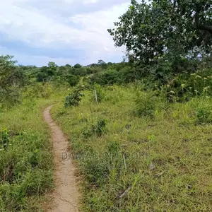 Shamba Linauzwa Kiwangwa Bagamoyo Ukubwa Acre 6