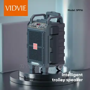VIDVIE Portable Intelligent Trolley Bluetooth Speaker SP916