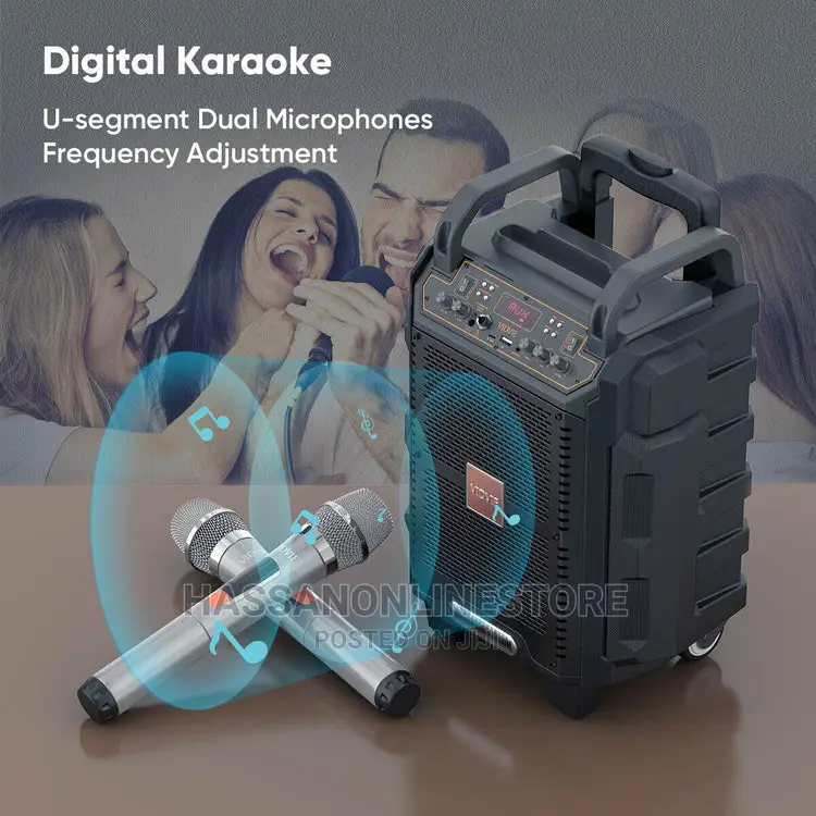 VIDVIE Portable Intelligent Trolley Bluetooth Speaker SP916