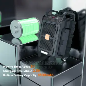 VIDVIE Portable Intelligent Trolley Bluetooth Speaker SP916