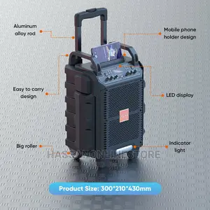 VIDVIE Portable Intelligent Trolley Bluetooth Speaker SP916