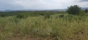 Shamba La Ekari 100 Linauzwa Mwetemo